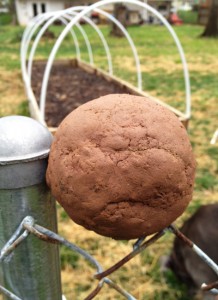 If you can make a ball out of your soil that stays, you've got Clay Soil!